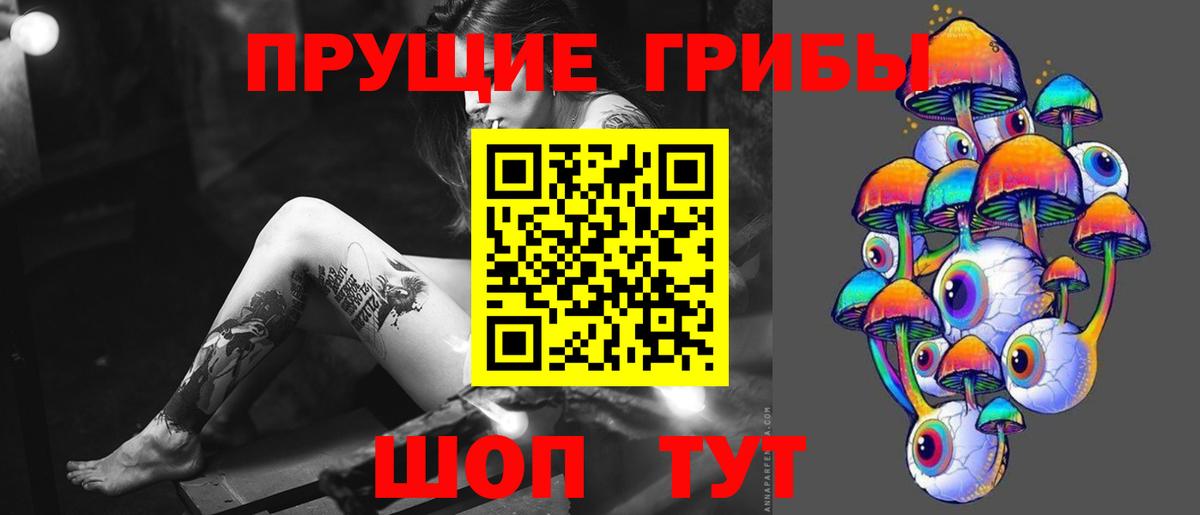 Галлюциногенные грибы прущие грибы  Вход с VPN  Карасук 