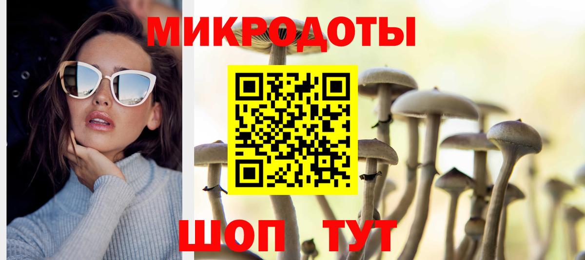 Псилоцибиновые грибы мухоморы Карасук